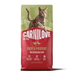 CARNILOVE ACTIVE kassikuivtoit part ja faasan steriliseeritud t&auml;iskasvanud kassidele, k&otilde;ik t&otilde;ud 6 kg