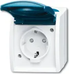 Busch-jaeger 2CKA002083A0842 Sinine