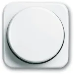 Busch-jaeger 2CKA006599A0237