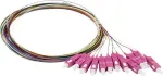 Synergy 21 S215524 Fiiberoptiline sabakaabel SC OM4 2m 12-pakk v&auml;rviline