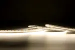 Synergy 21 LED Flex Ribal 2022 - 320 SWW DC24V 75W HE+HD IP20 5m