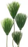 EUROPALMS Papyrus kunsttaim, 130 cm 82600235