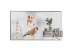 LG 55tolline l&auml;bipaistev OLED 55EW5P koos One:Quick dongle'iga