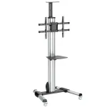 StarTech.com TV-alus &ndash; reguleeritava k&otilde;rgusega &ndash; lukustatavad rattad, 40 kg, 81,3 cm (32 tolli), 190,5 cm (75 tolli), 200 x 200 mm, 600 x 400 mm, 1110&ndash;1510 mm
