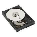 DELL GPP3G sisemine k&otilde;vaketas 1 TB 7200 RPM 3,5-tolline NL-SAS
