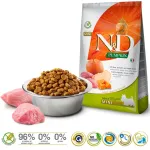 Farmina N&D Pumpkin Adult Mini Boar & Apple kuiv koeratoit, 7 kg