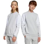 adidas Squadra 25 Sweat Crew laste dressipluus hall JD4824 152cm