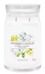 Vahak&uuml;&uuml;nal Yankee Candle Midnight Jasmine 157mm K&otilde;rgus 93mm Laius 567g