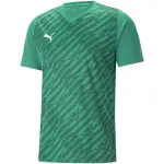 Puma teamULTIMATE meeste T-s&auml;rk Forest Green S