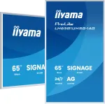 iiyama LH6581UHSG-1AG Digitaalsildi kuvar Digitaalsildi lameekraan 163,8 cm (64,5 tolli) Wi-Fi 500 cd/m&sup2; 4K Ultra HD Valge Sisseehitatud protsessor Android 24/7