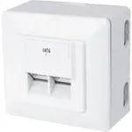 Pistikupesa karp RJ-45 valge ShiverPeaks BS74272-SET