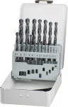 Puuriterade komplekt KWB 421944 19 tk 1,0&ndash;10 mm spiraalpuuriterad
