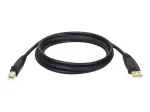 Tripp Eaton Tripp Lite Series USB 2.0 A to B kaabel (M/M)