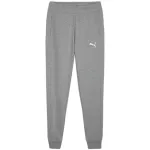 Puma Team Goal Casuals meeste T-s&auml;rk hall S