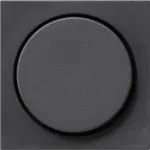 Gira 065028 h&auml;marduskatt System 55, Standard 55, E2, Event, Event Clear, Event Opaque, Esprit, ClassiX, antratsiithall