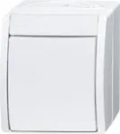 Busch Jaeger L&uuml;liti V&auml;ljas 2601/2 W-54 (2CKA001085A1627)