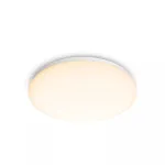 Philips Functional laevalgusti, LED, vahetamatu lambipirn(id), 2700 K, 1700 lm, IP20, valge