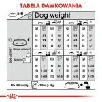 Royal Canin Mini Sterilised kuivtoit t&auml;iskasvanud v&auml;ikest t&otilde;ugu koertele p&auml;rast steriliseerimist, 1 kg