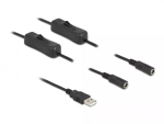 USB Type-A-pistik 2 x DC 5.5 x 2.1 mm emasele l&uuml;litiga 1 m DeLOCK 86797