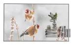 LG 55EW5P-M Signage Display 139.7 cm (55 inch) OLED 600 cd/m&sup2; Full HD Silver Touchscreen 18/7