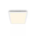 Laelamp Philips Functional Panel 12 W LED kandiline 300&times;300&times;42 mm, valge