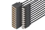 Digitus DisplayPort &ndash; DVI adapterkaabel, pakis 10 tk