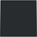 Busch-jaeger 2CKA001710A4251