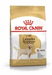 Royal Canin BHN Labrador Adult kuiv koeratoit, 12 kg