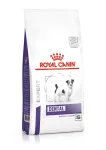 Royal Canin VHN Dog Dental Small kuiv koeratoit, 2 kg