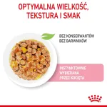 Royal Canin Feline Health Nutrition Kitten Instinctive kastmes m&auml;rgtoit kassipoegadele, 12 x 85 g