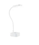 Lauavalgusti Philips Functional Rock LED valge 5000K