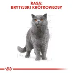 M&auml;rg kassitoit Royal Canin British Shorthair Adult kotike 85 g, linnuliha, ROYAL CANIN Feline Breed Nutrition