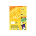 Avery Zweckform 3651 universaalsed sildid 52,5 x 29,7 mm 100 lehte valged