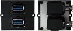 Pistikupesa Bachmann 917.059 2 x USB A must