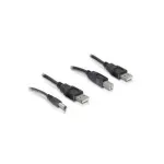 DeLOCK 82461 toitekaabli komplekt, USB-A 4-kontaktne (M) &ndash; USB-B 4-kontaktne + DC 2,1 mm (M), 0,3 m