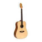 Stagg SA25 D akustiline kitarr