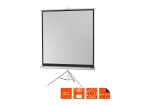 celexon Economy statiivprojektsiooniekraan 133 x 133 cm White Edition