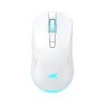 Baracuda BGM-122 Turtle valge hiir TURTLE-W