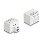 DeLOCK keystone moodul USB Type-A USB USB-C PD 20W valge