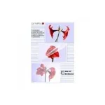 Lamineerimistasku Olympia 1x50 DIN A3 80 mikronit