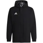 adidas Meeste Entrada 22 iga ilmaga jope must IK4010