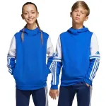 adidas Squadra 25 Sweat Hoody lastele sinine JD4806 128cm