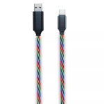 USB kaabel 2GO 797146 1m USB B USB C Mitmev&auml;rviline