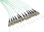 GoodConnections Alcasa LW-802PT 2m 12x ST t&uuml;rkiissinine fiiberoptiline &uuml;henduskaabel (LW-802PT)