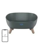 Petoneer Cozy Sofa nutivoodi PN-110031-01 &mdash; termoreguleeriv lemmikloomavoodi, mugav disain