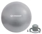 Schildkr&ouml;t Fitness 960155 harjutus pall 55 cm Hall T&auml;issuuruses