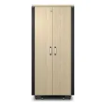 APC NetShelter Helikindel, 32U, serverikapi korpus, 230V, vahtrav&auml;rv