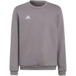 adidas Entrada 22 dressipluus hall noortele 140 cm