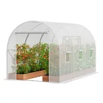 Tunnelkasvuhoone 2,9x2x1,9 m tsingitud raam PE katus valge, 2,9 x 2 x 1,9 m