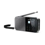 Sharp DR-P520(GY) kannettav digitaalne raadio Bluetooth-ga